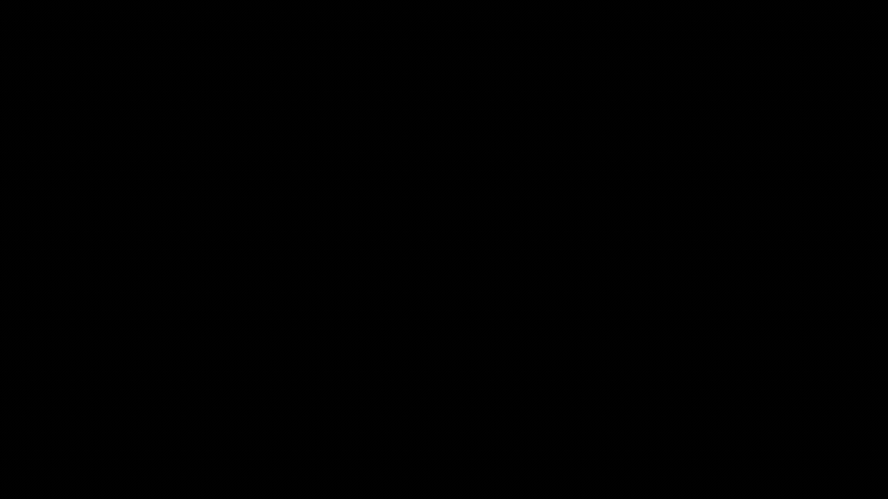 缩放功能演示